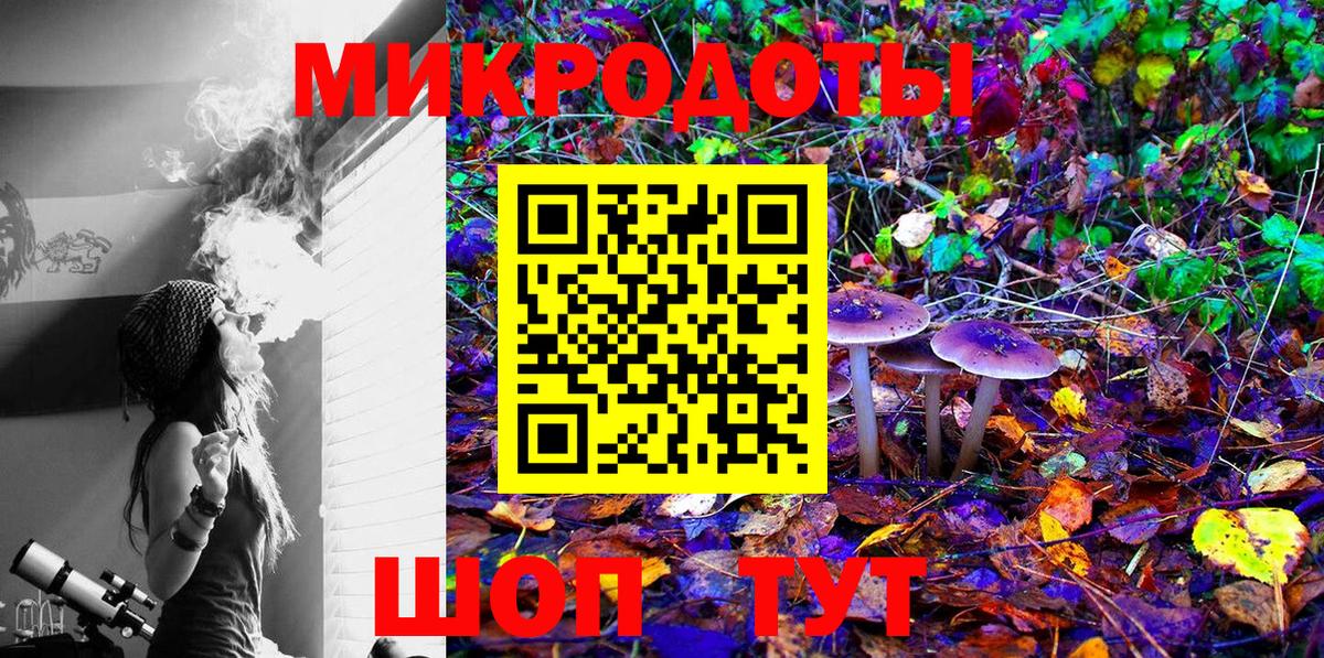 Псилоцибиновые грибы мухоморы Зерноград