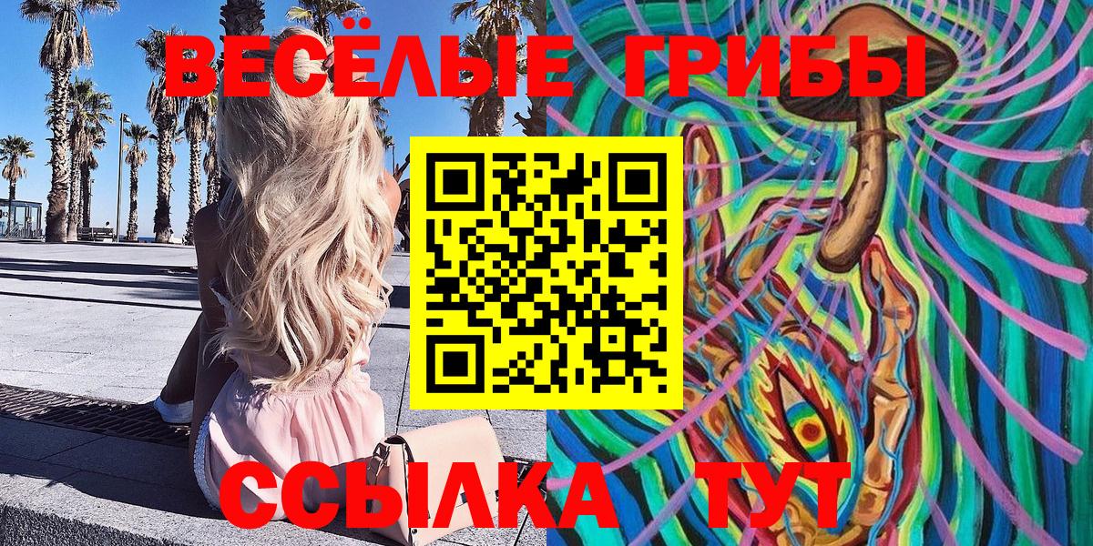Псилоцибиновые грибы прущие грибы  Вход с VPN  Галлюциногенные грибы Cubensis  Зерноград 